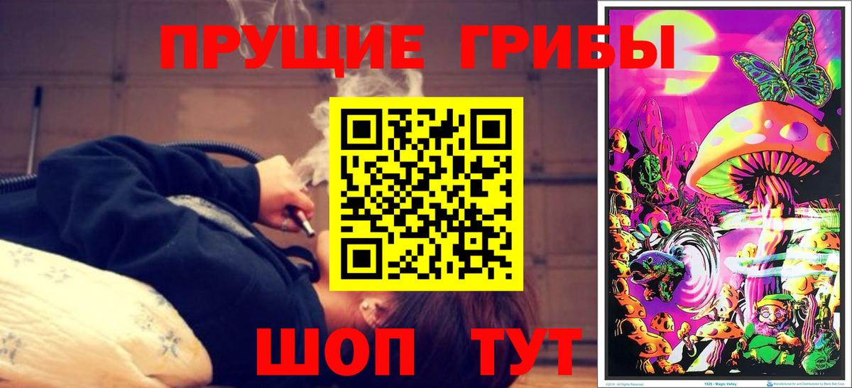 Сергиев Посад  Псилоцибиновые грибы прущие грибы  Вход с VPN  Псилоцибиновые грибы Psilocybe 
