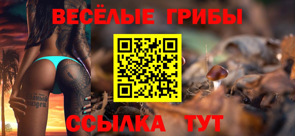 Псилоцибиновые грибы Magic Shrooms Сергиев Посад